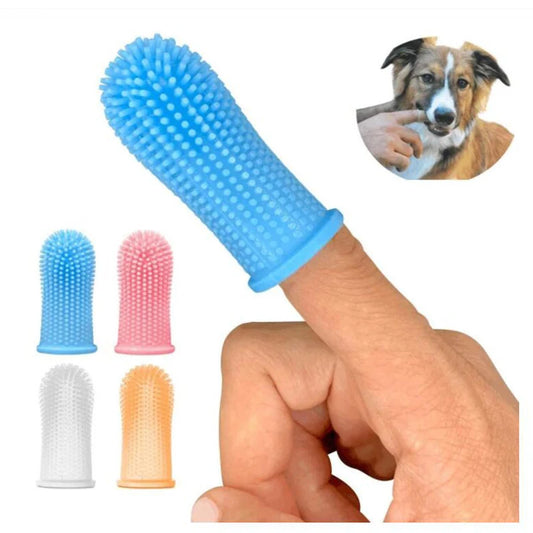 PetPure Dental Tool